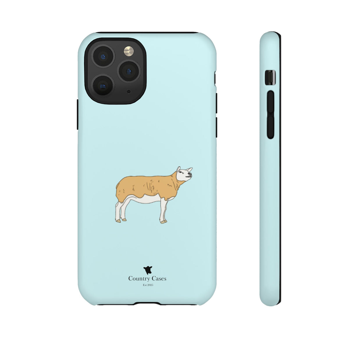 Texal Case