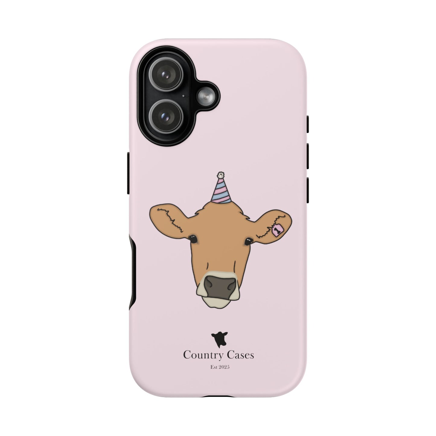 Pink Birthday Case