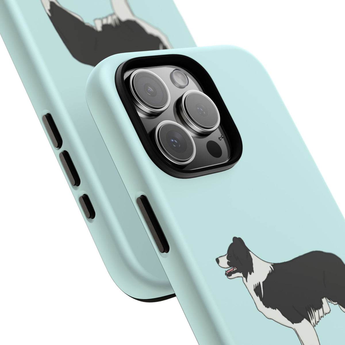 Collie Case