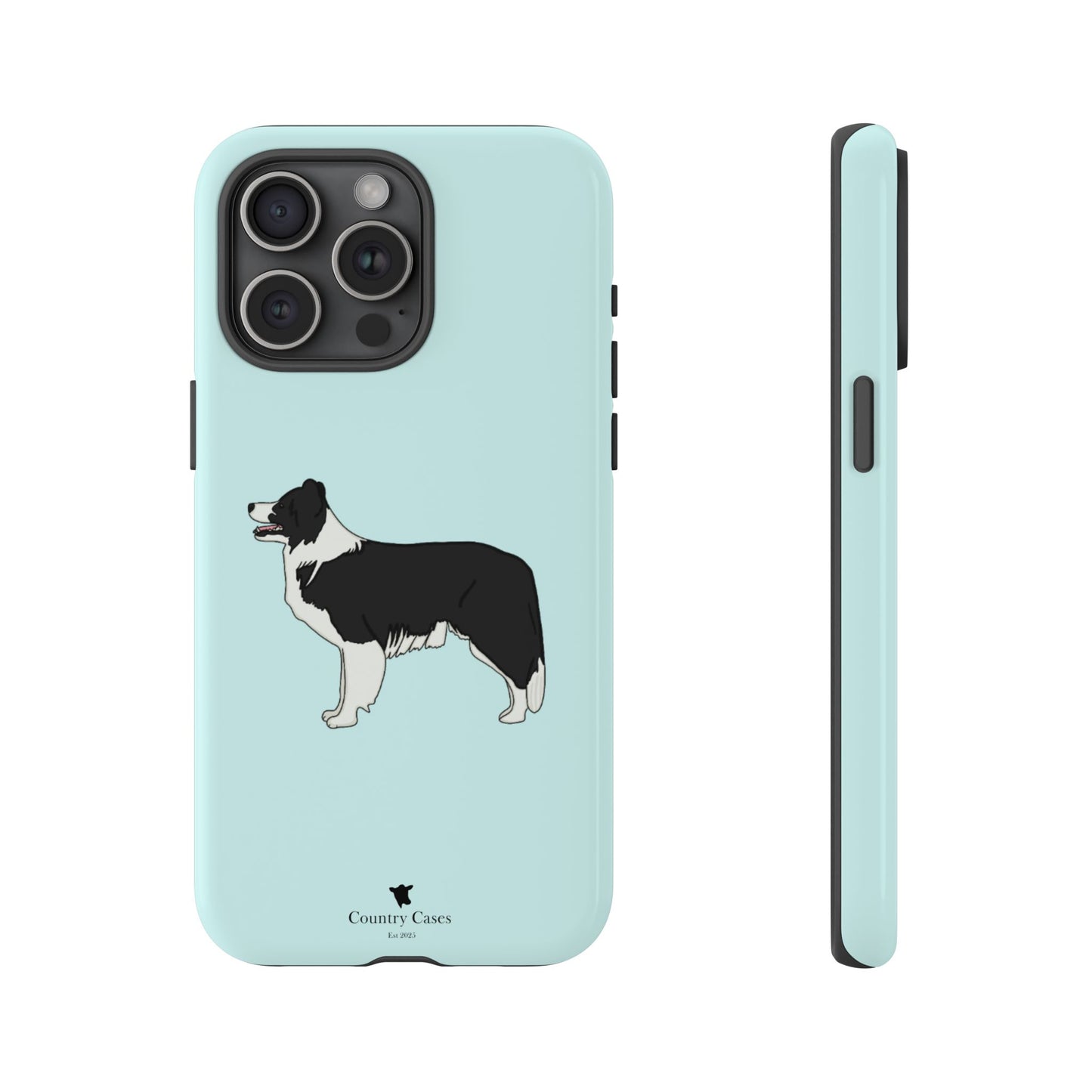 Collie case