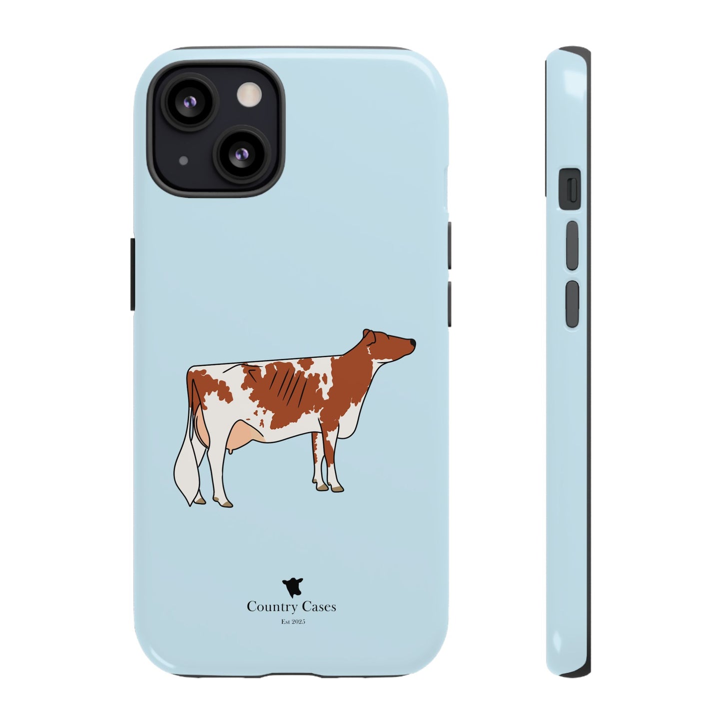 Ayrshire Case
