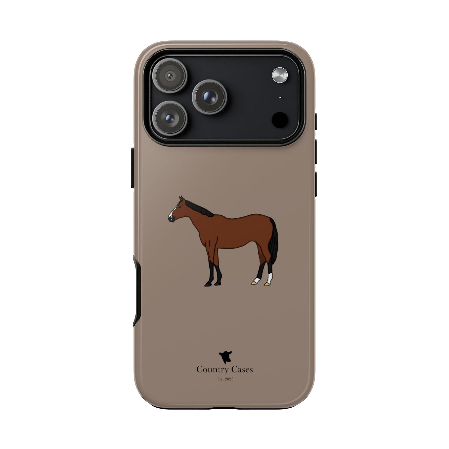 Bay horse case