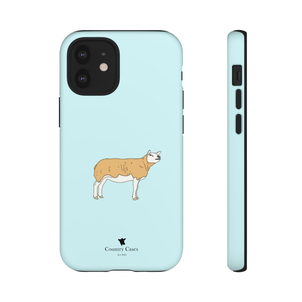 Texal Case