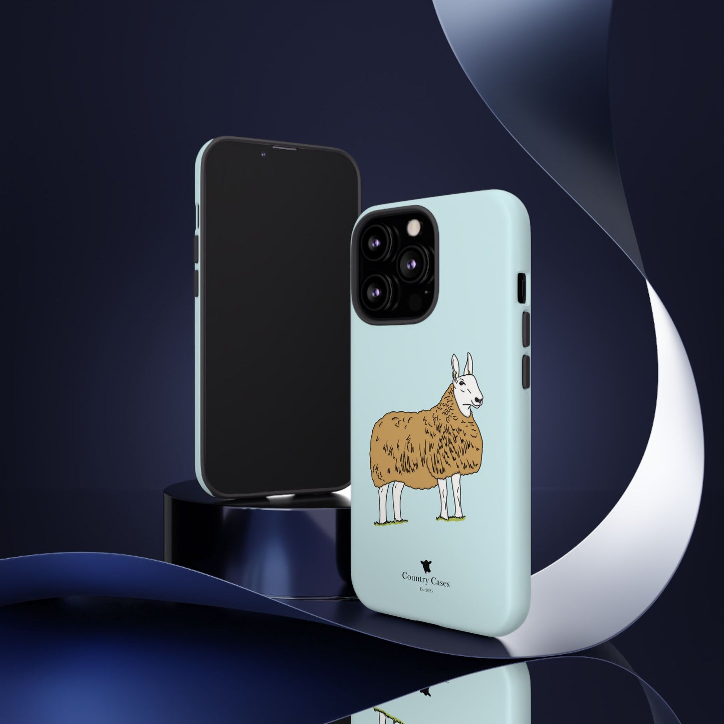 Border Leicester case