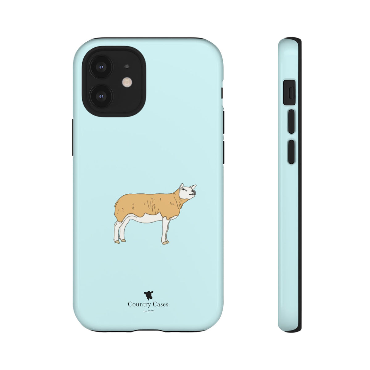 Texal Case