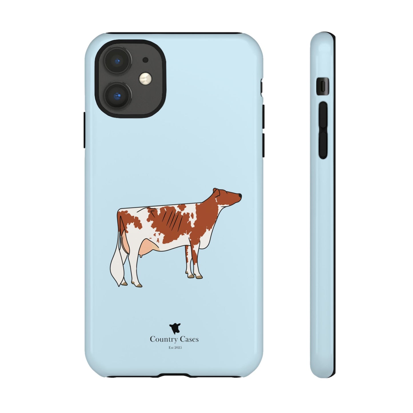 Ayrshire Case