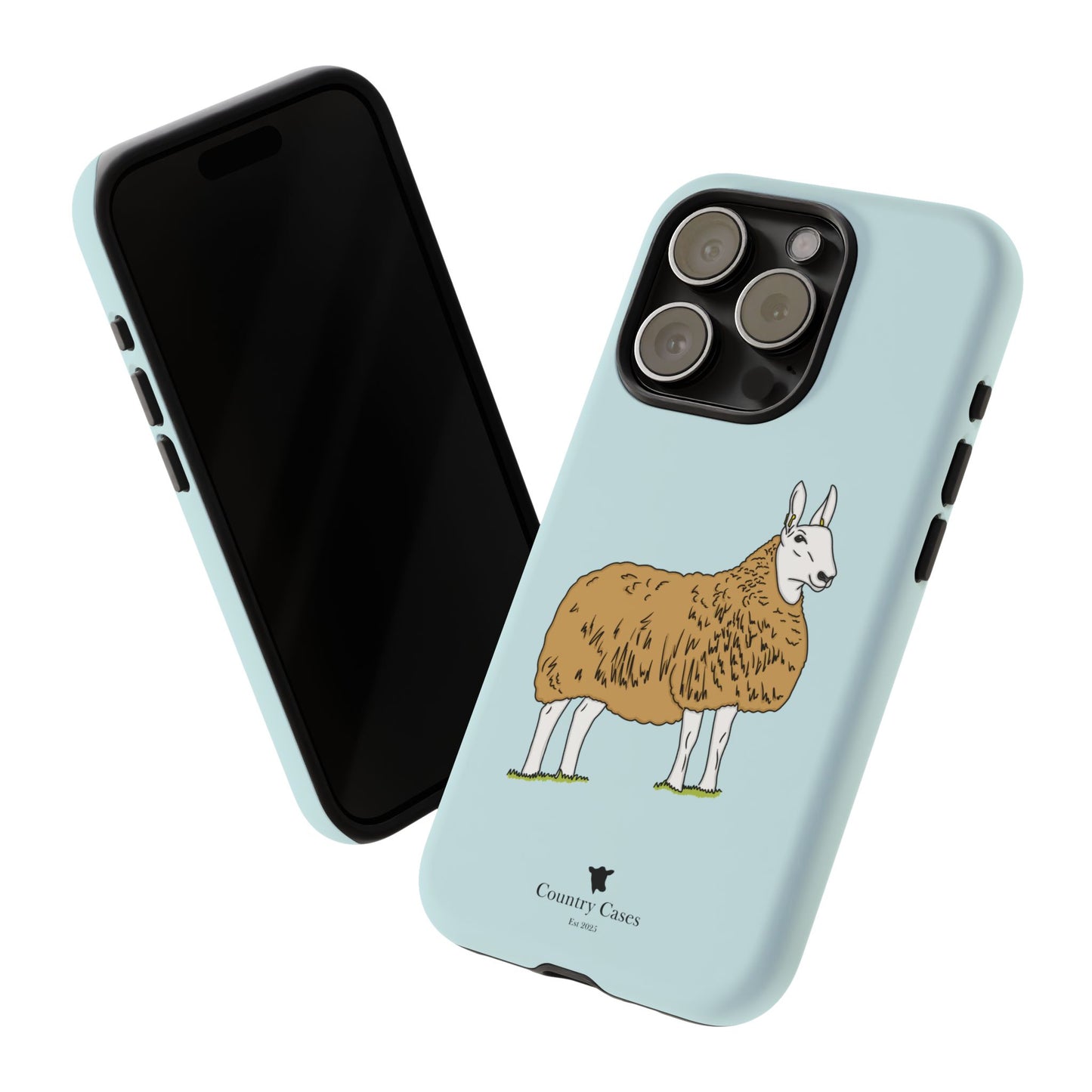 Border Leicester case