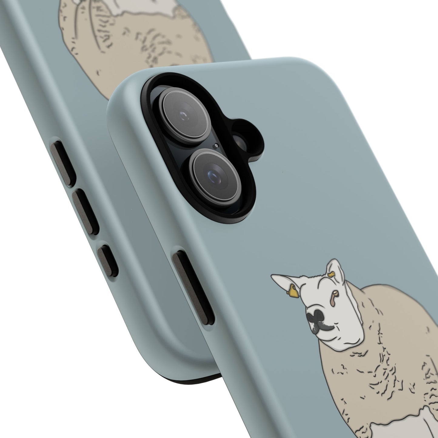 Shepherd Beltex Case