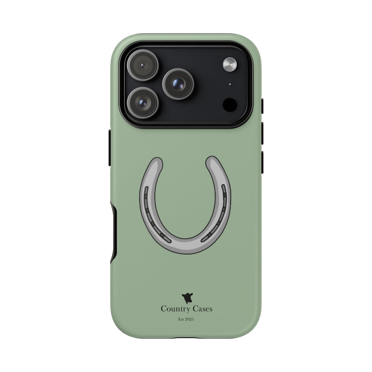 Horse Shoe Case