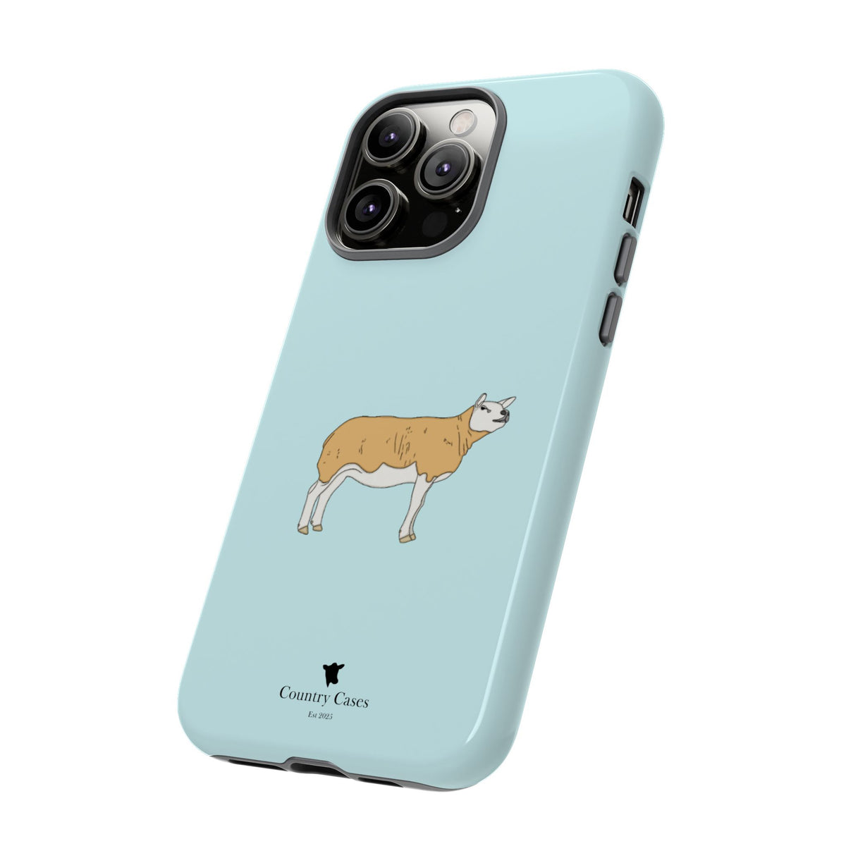 Texal Case