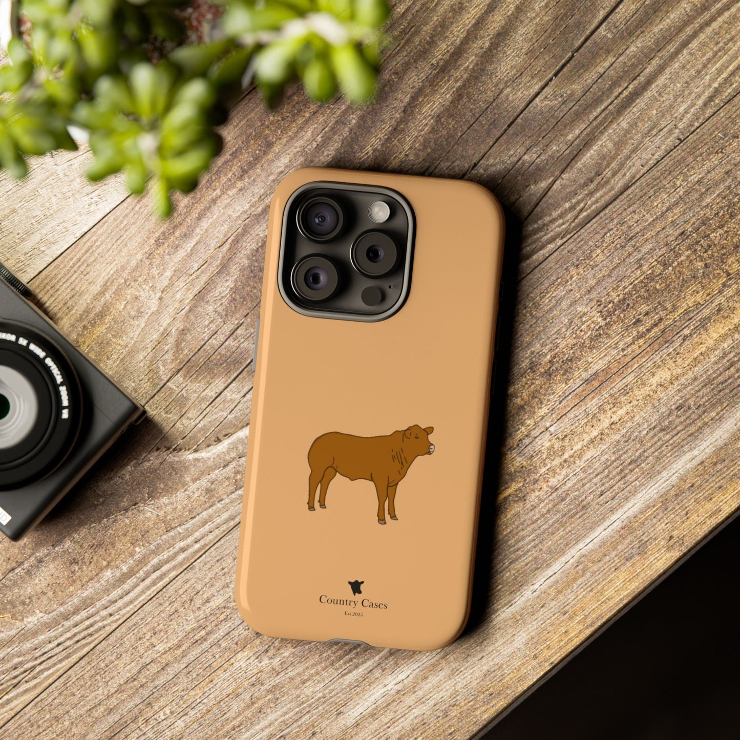 Beef Cow Case