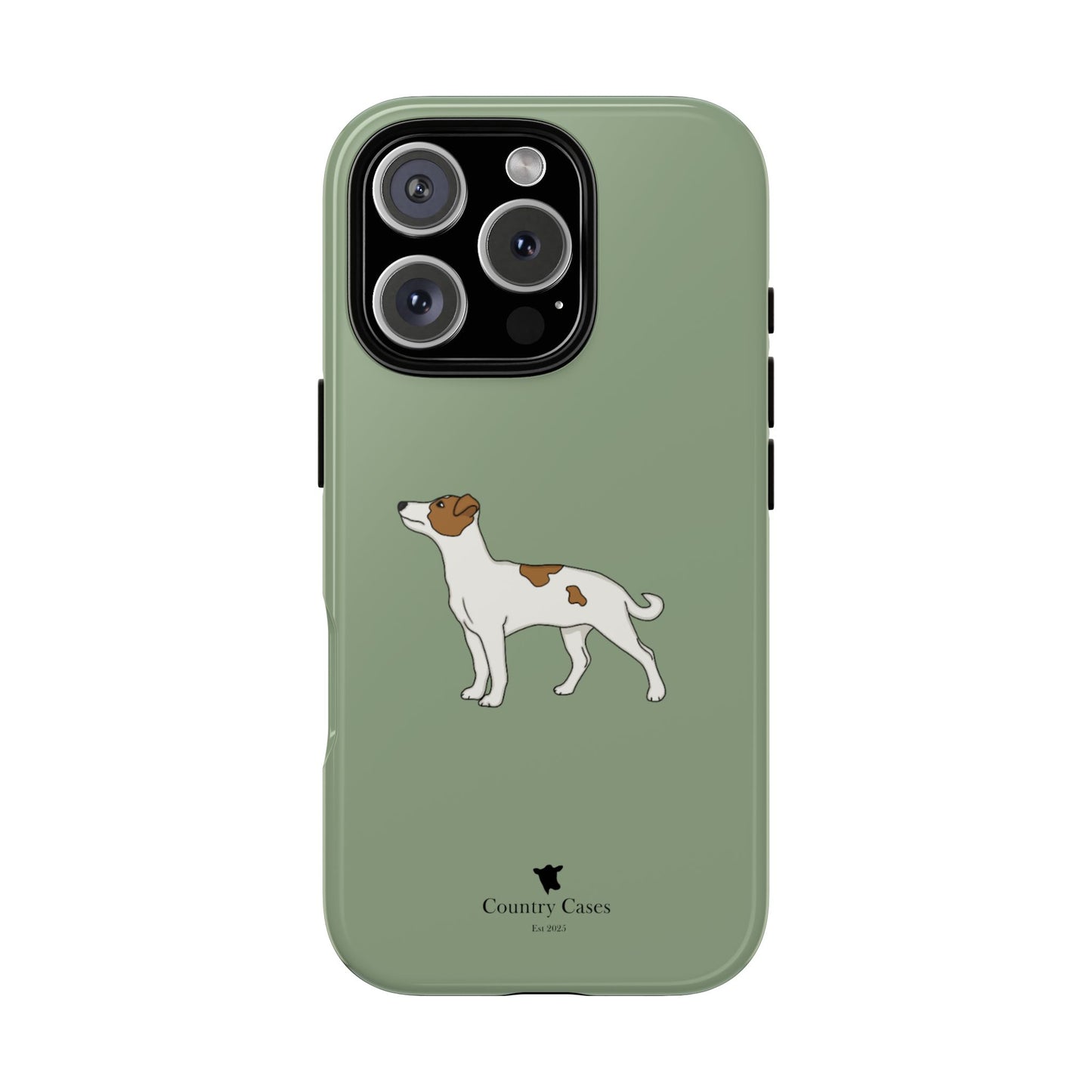 Jack Russell terrier case