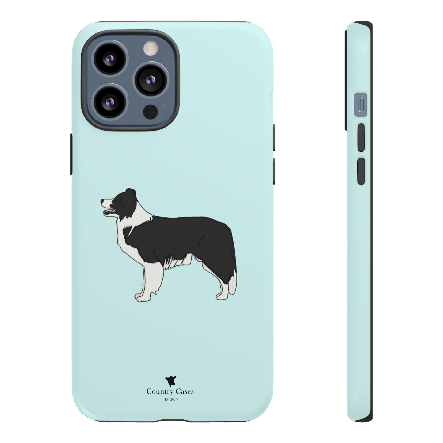 Collie case