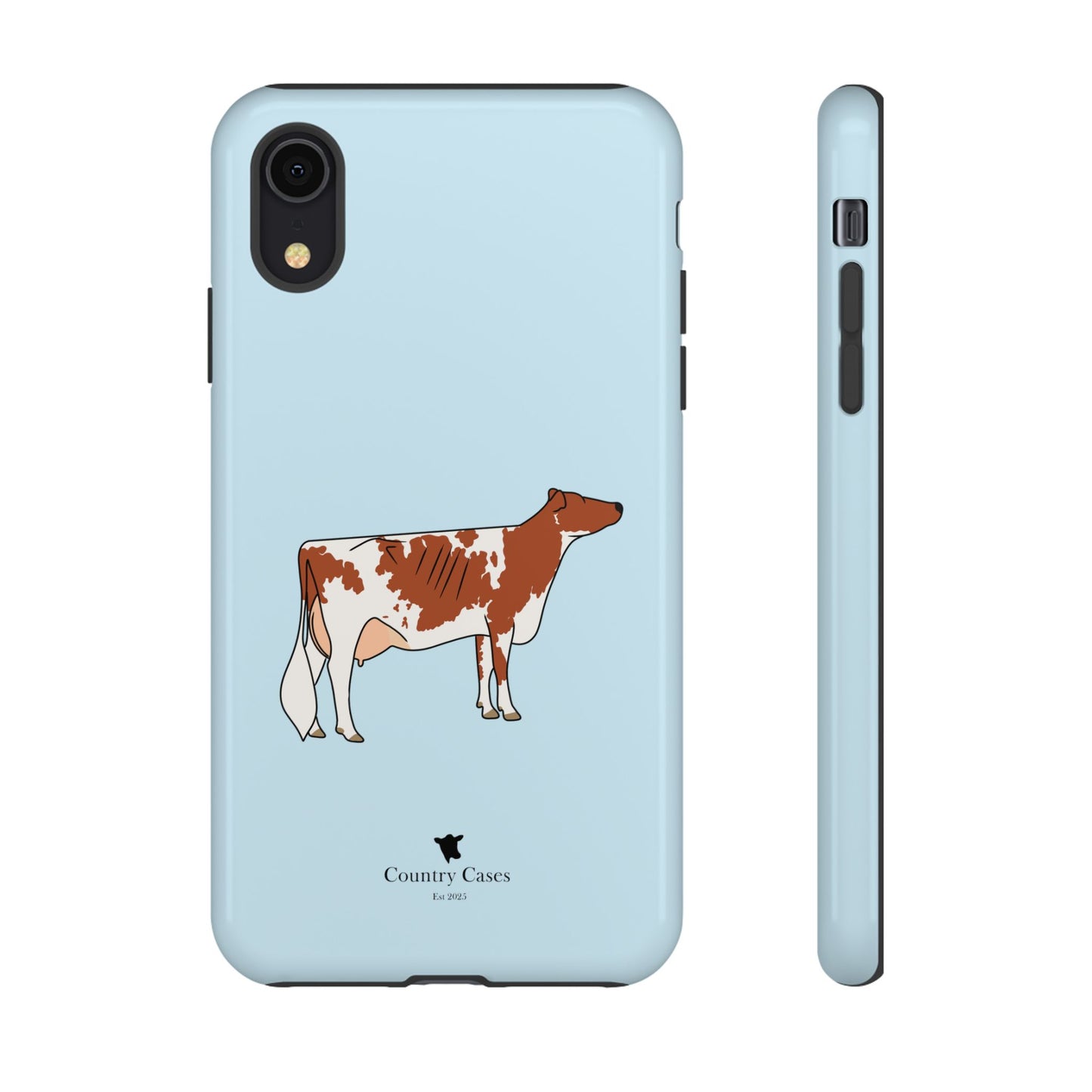 Ayrshire Case
