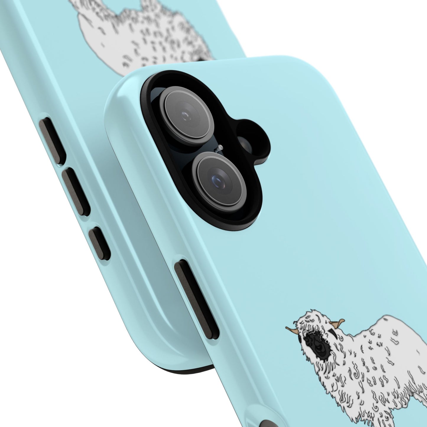 Valias blacknose sheep case