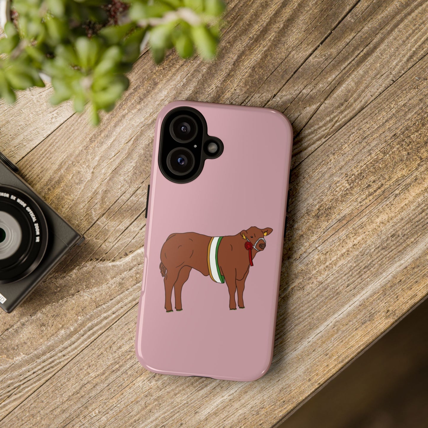 Saoirse Custom Case