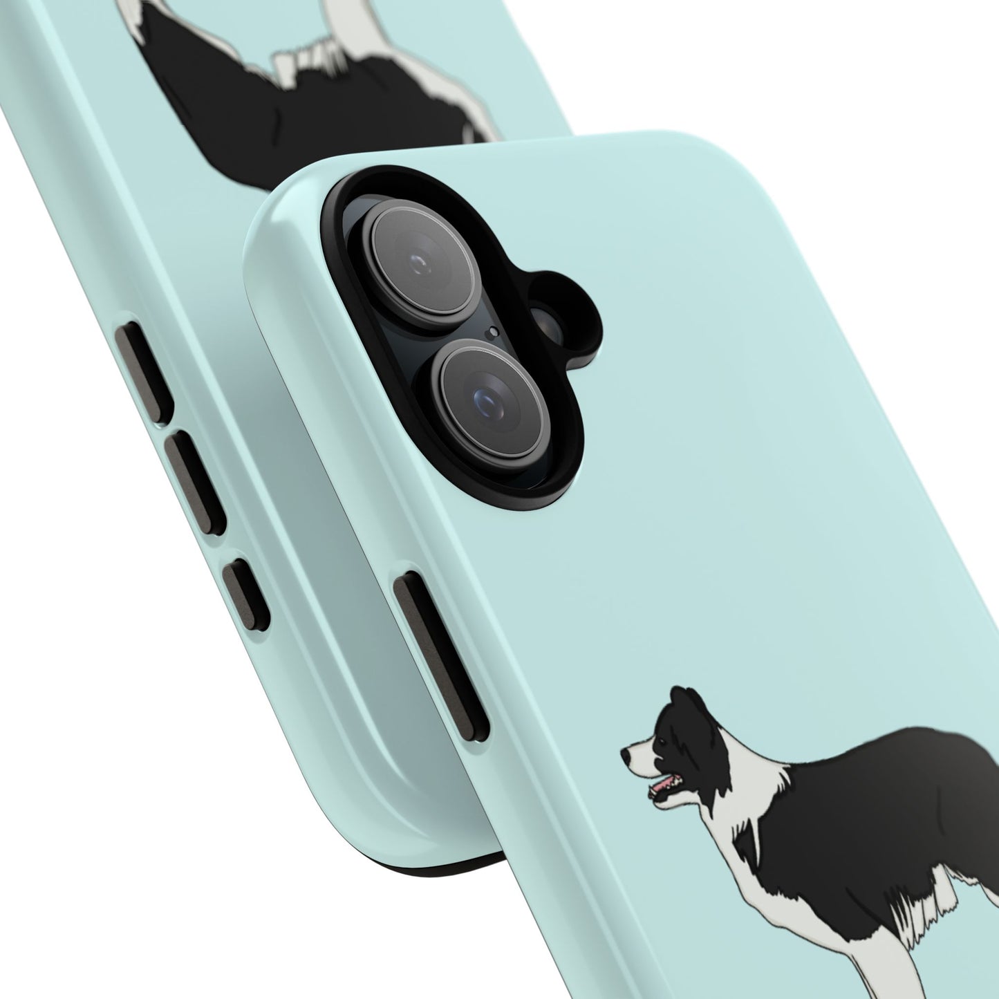 Collie case