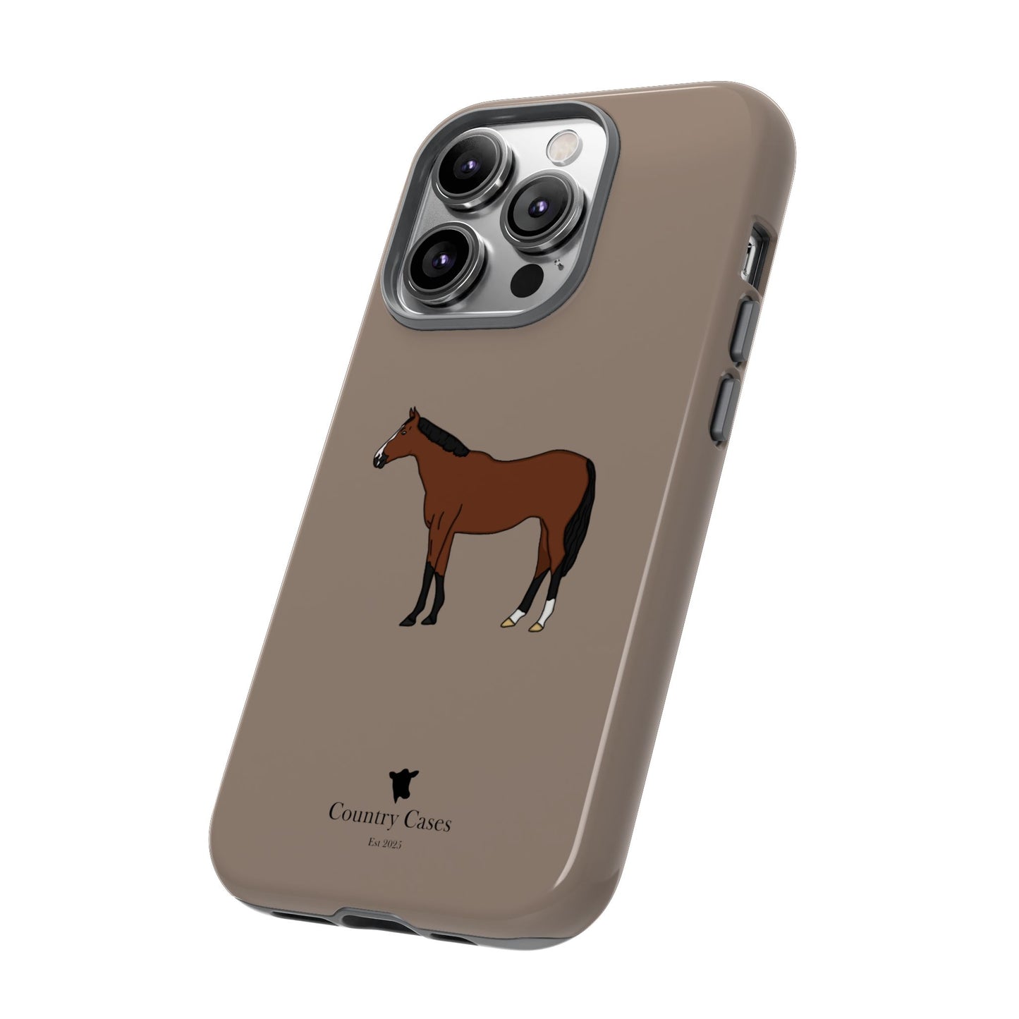 Bay horse case
