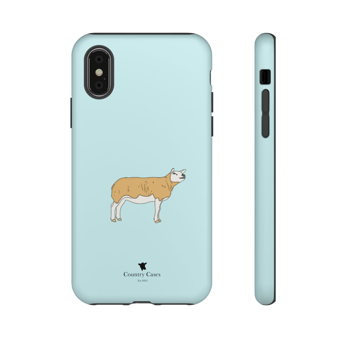 Texal Case
