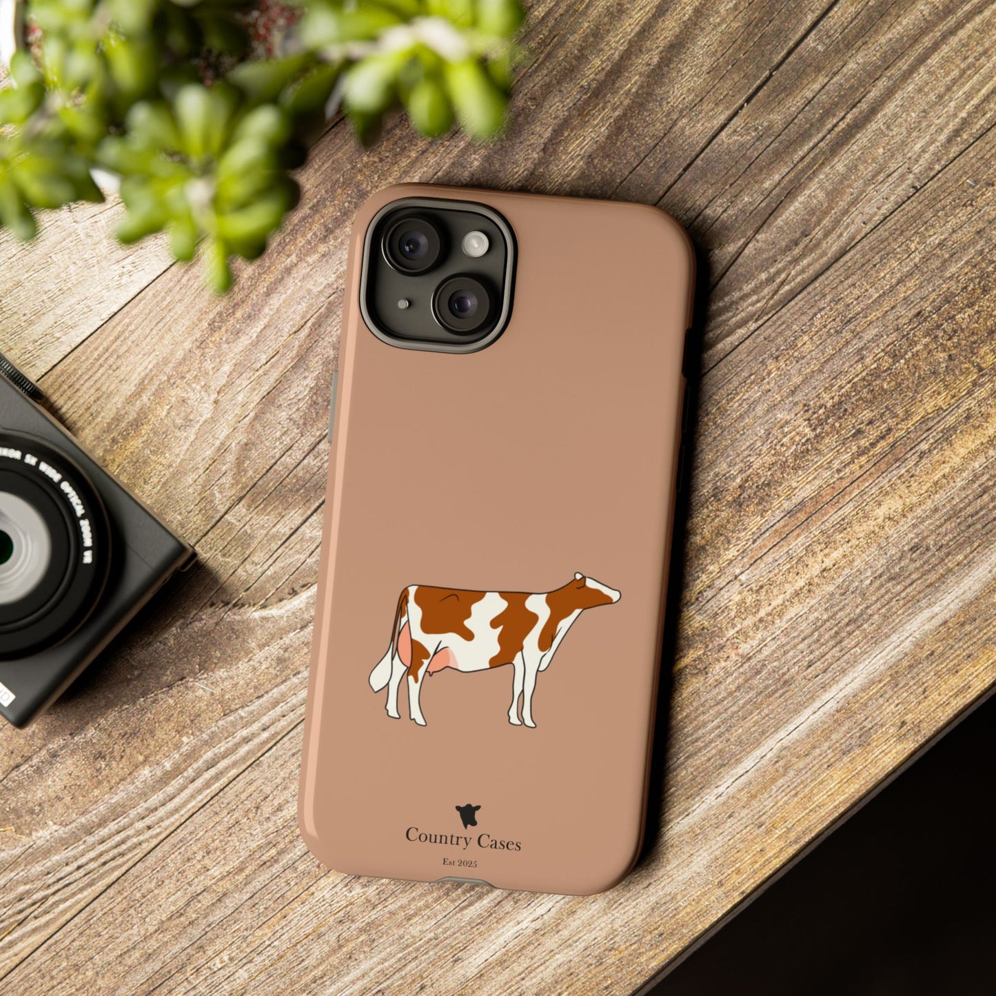 Red and white Holstein case