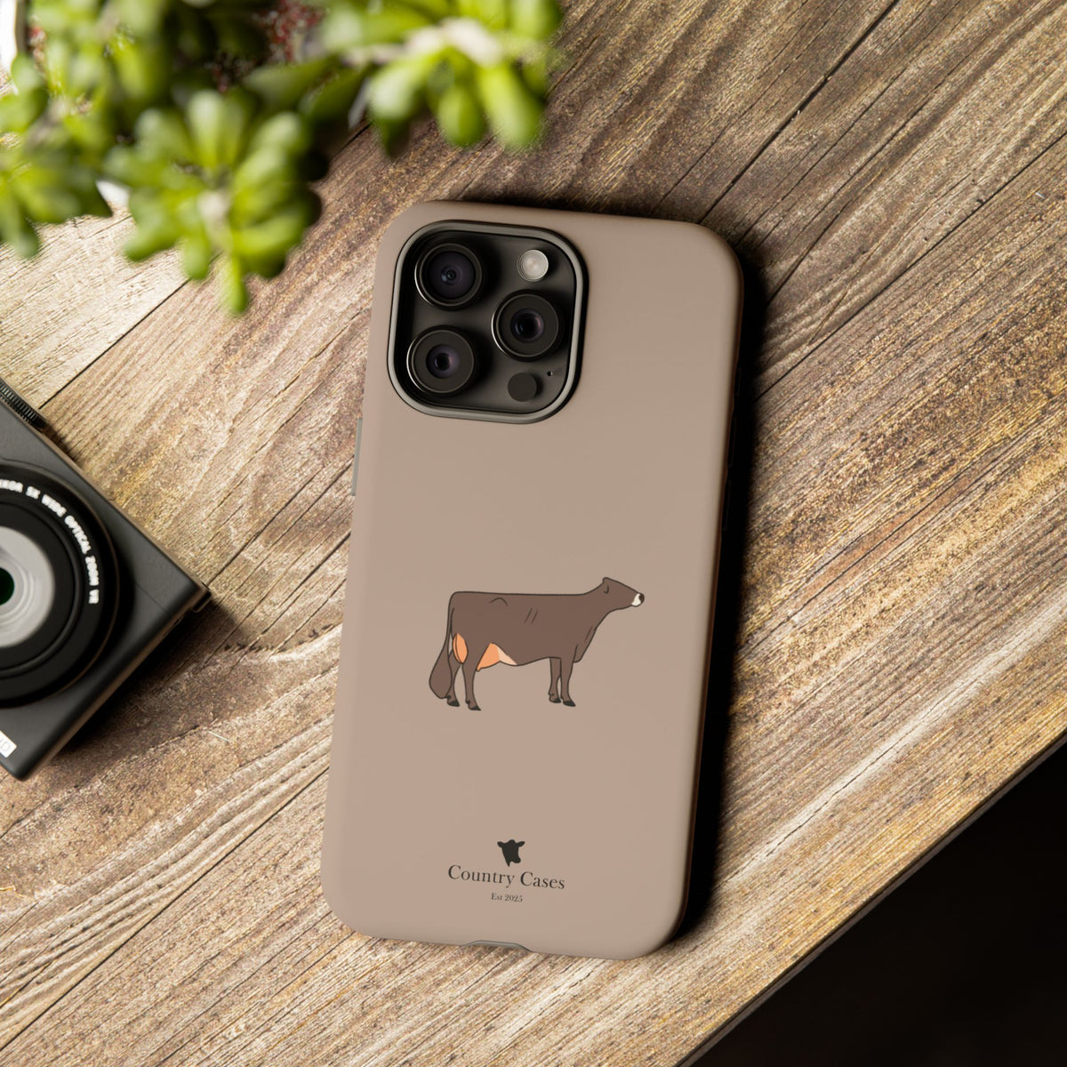 Brown Swiss Case