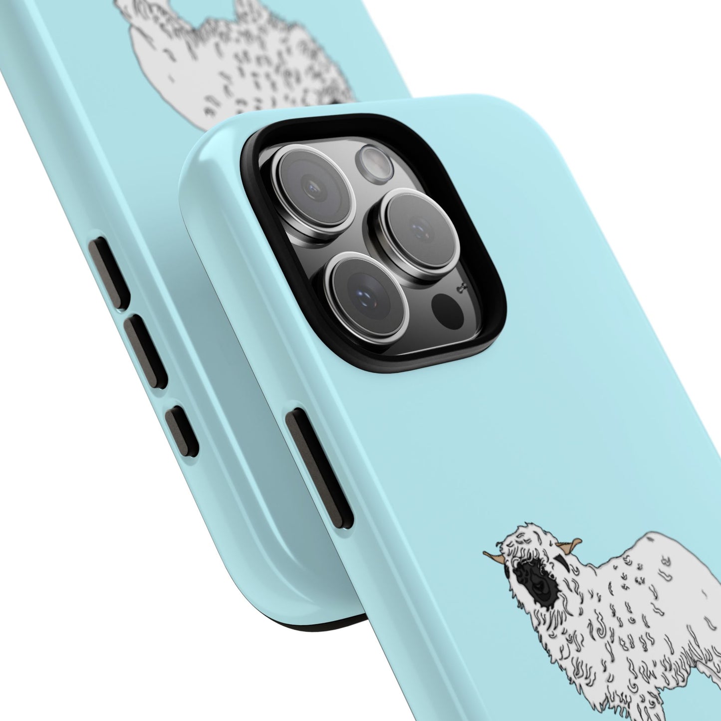 Valias blacknose sheep case