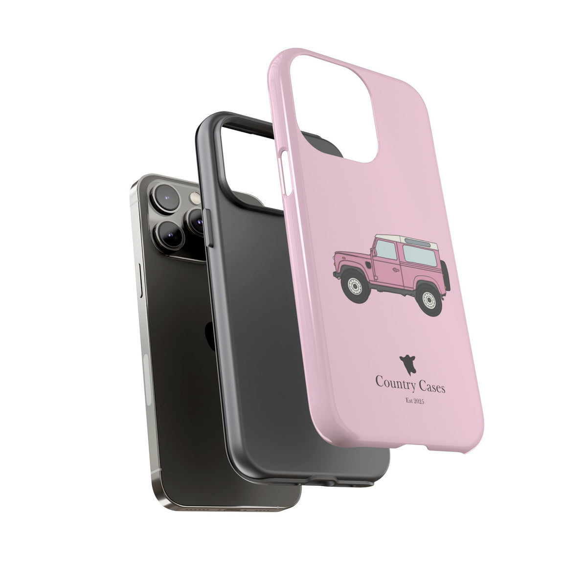 Pink Landy 2.0 case