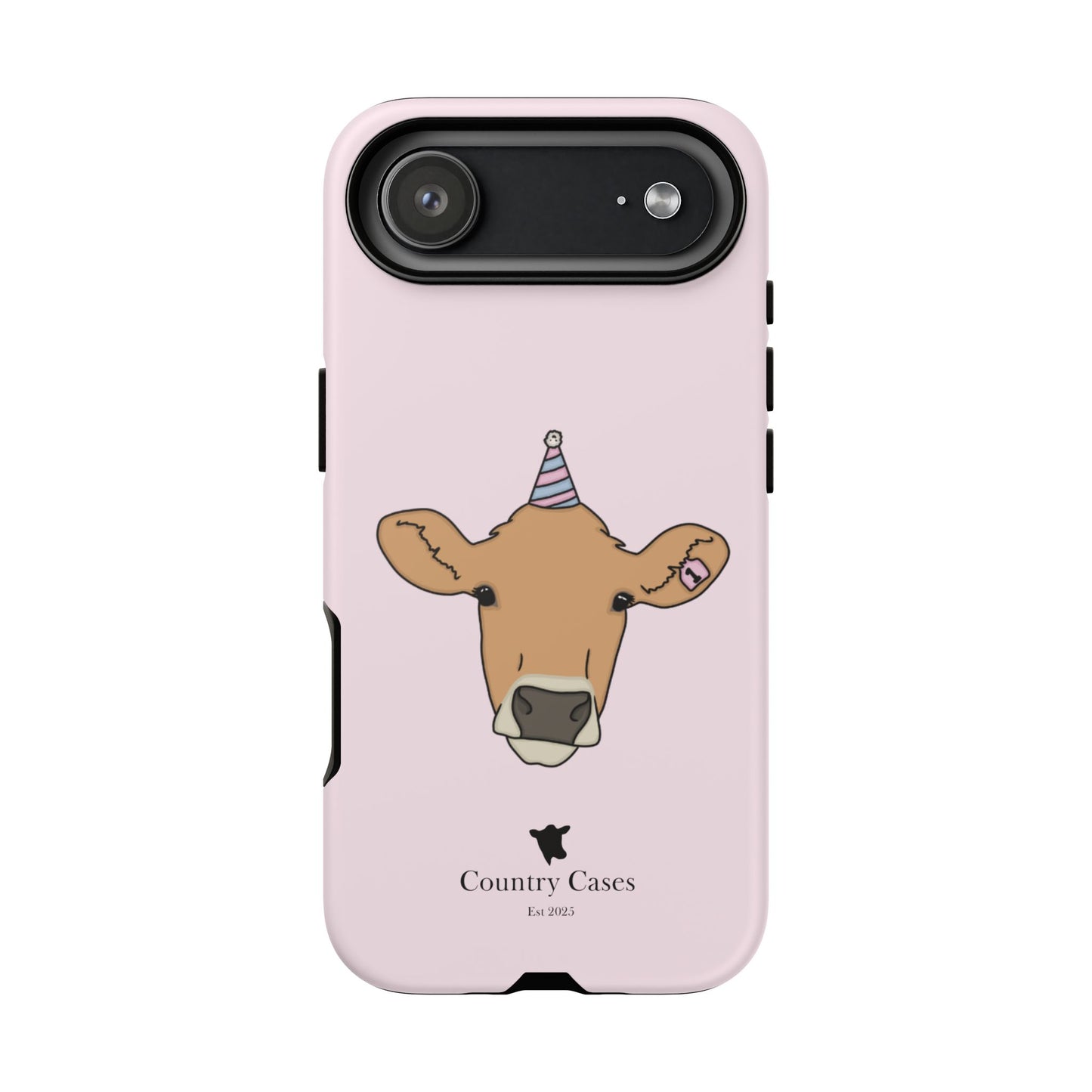 Pink Birthday Case