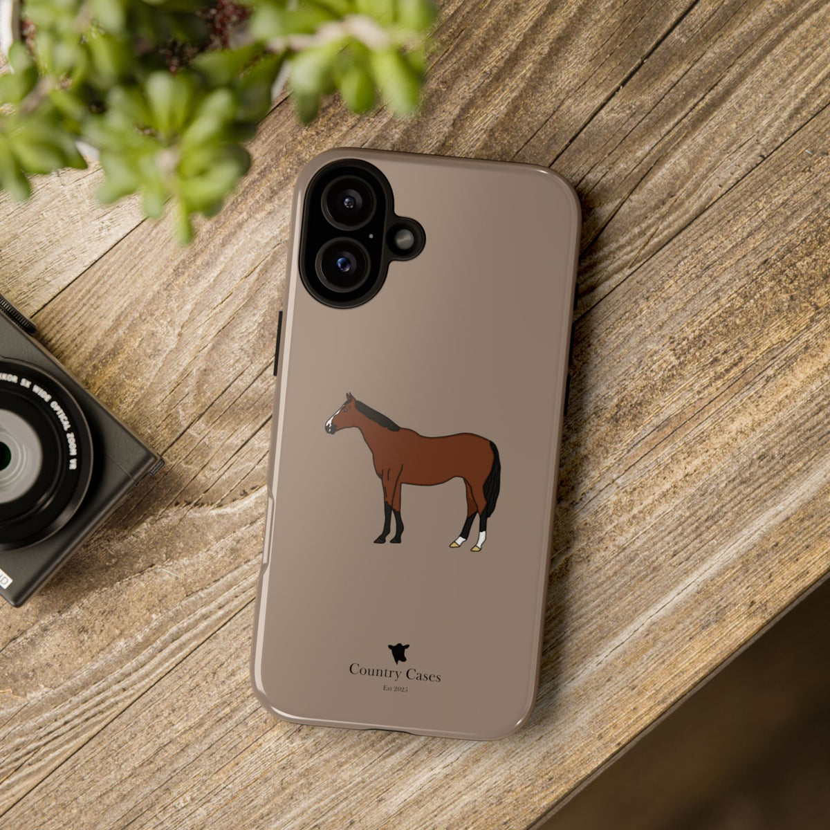 Bay Horse Case