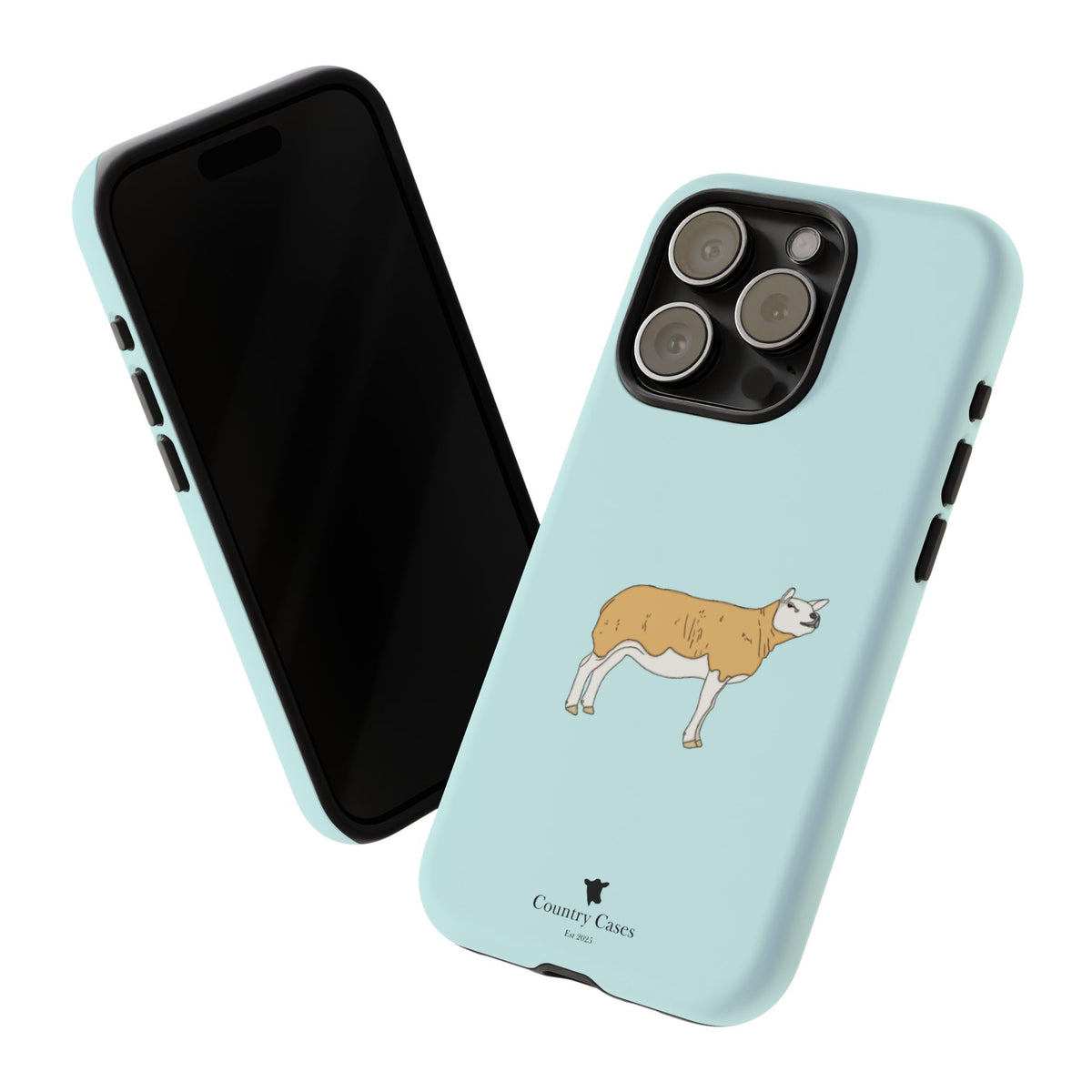 Texal Case