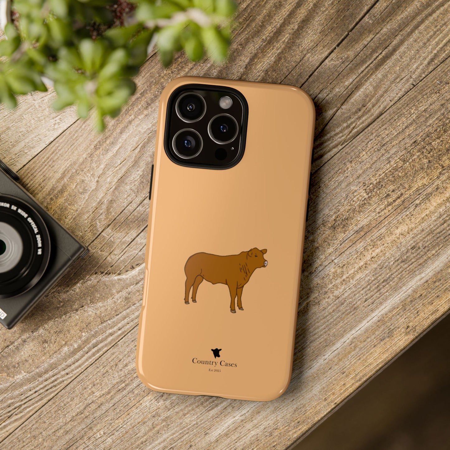 Beef Cow Case