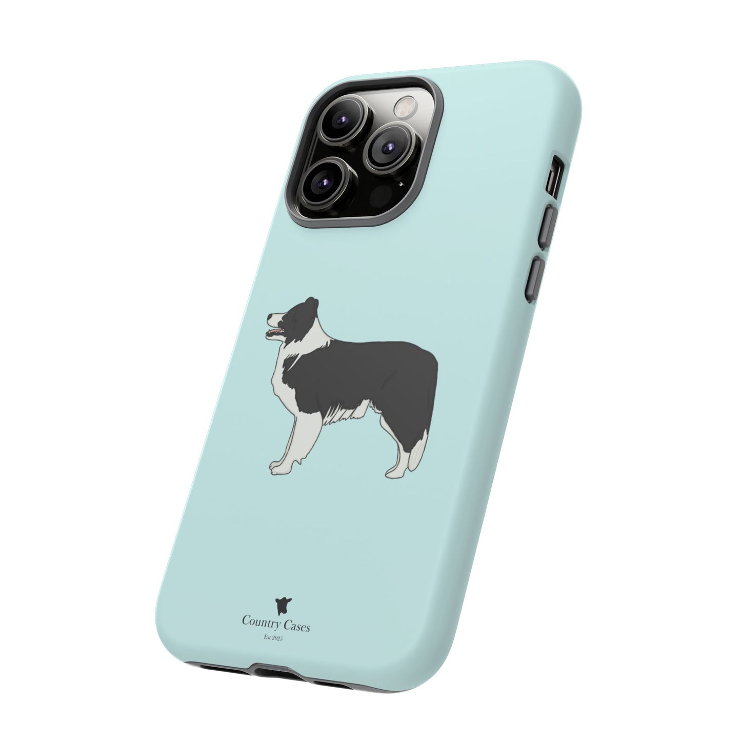 Collie case