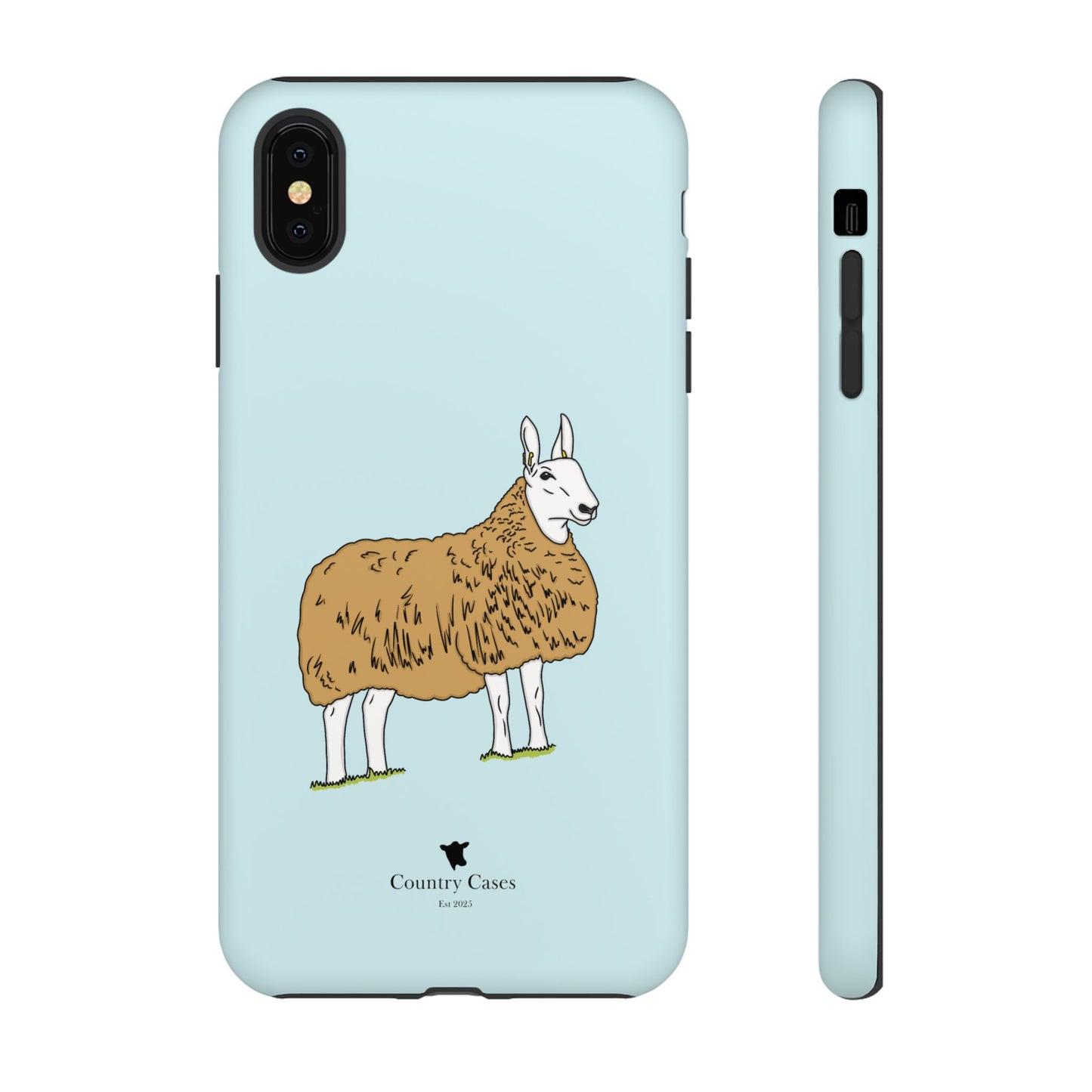 Border Leicester case