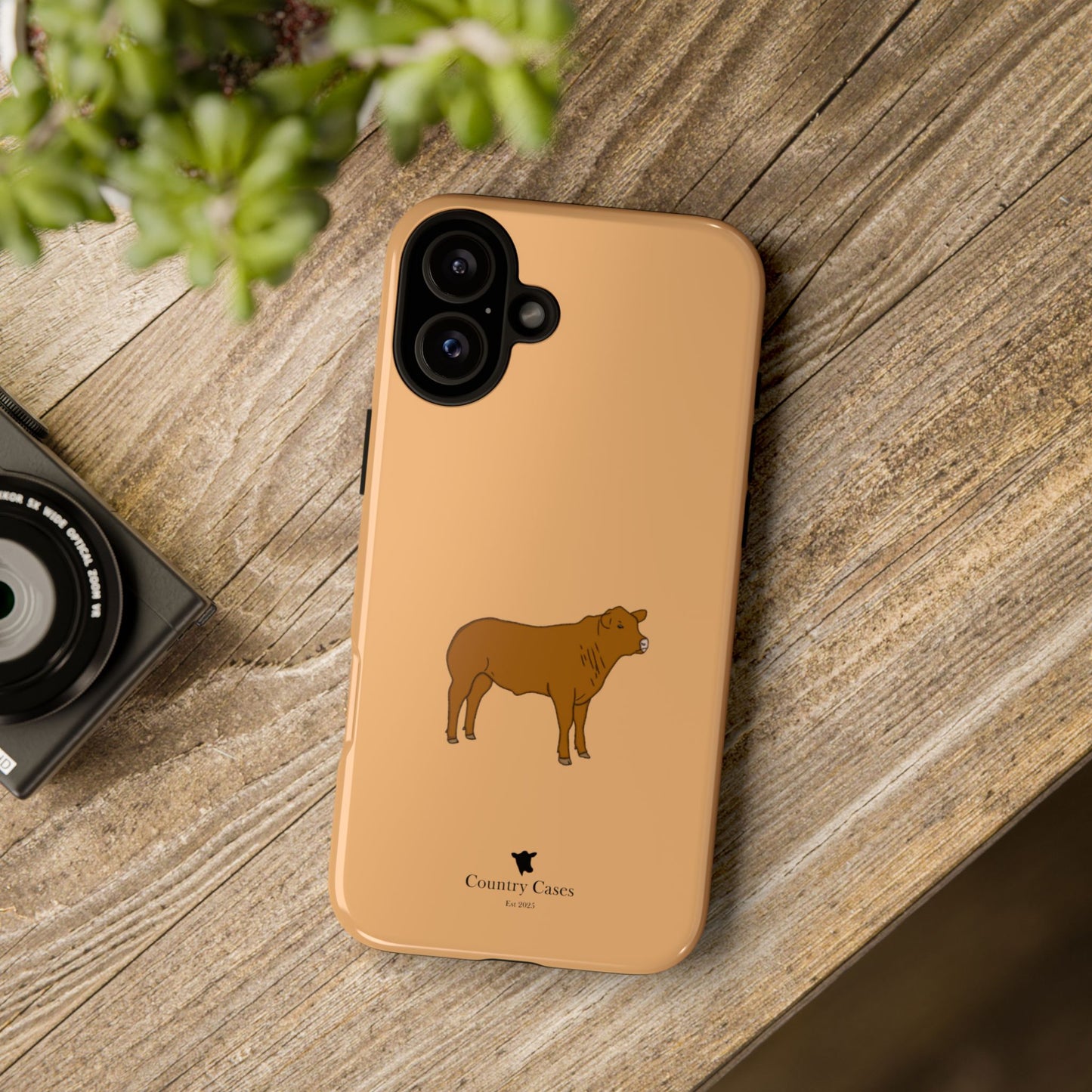 Beef Cow Case