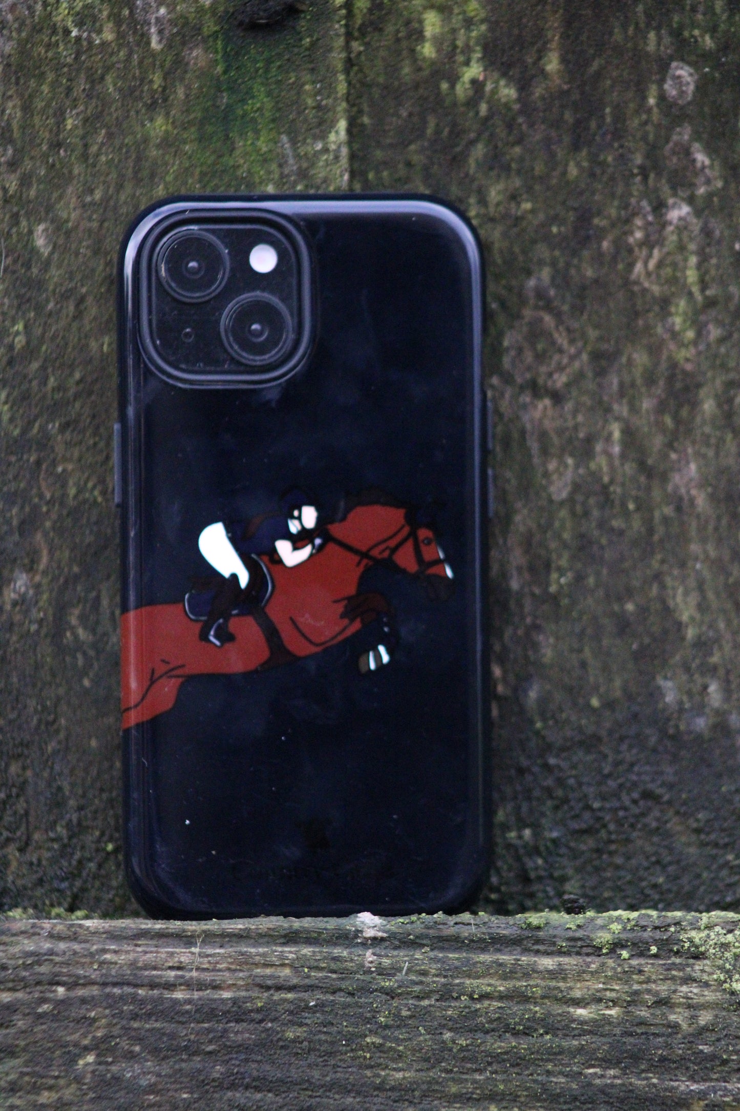 Showjumper case