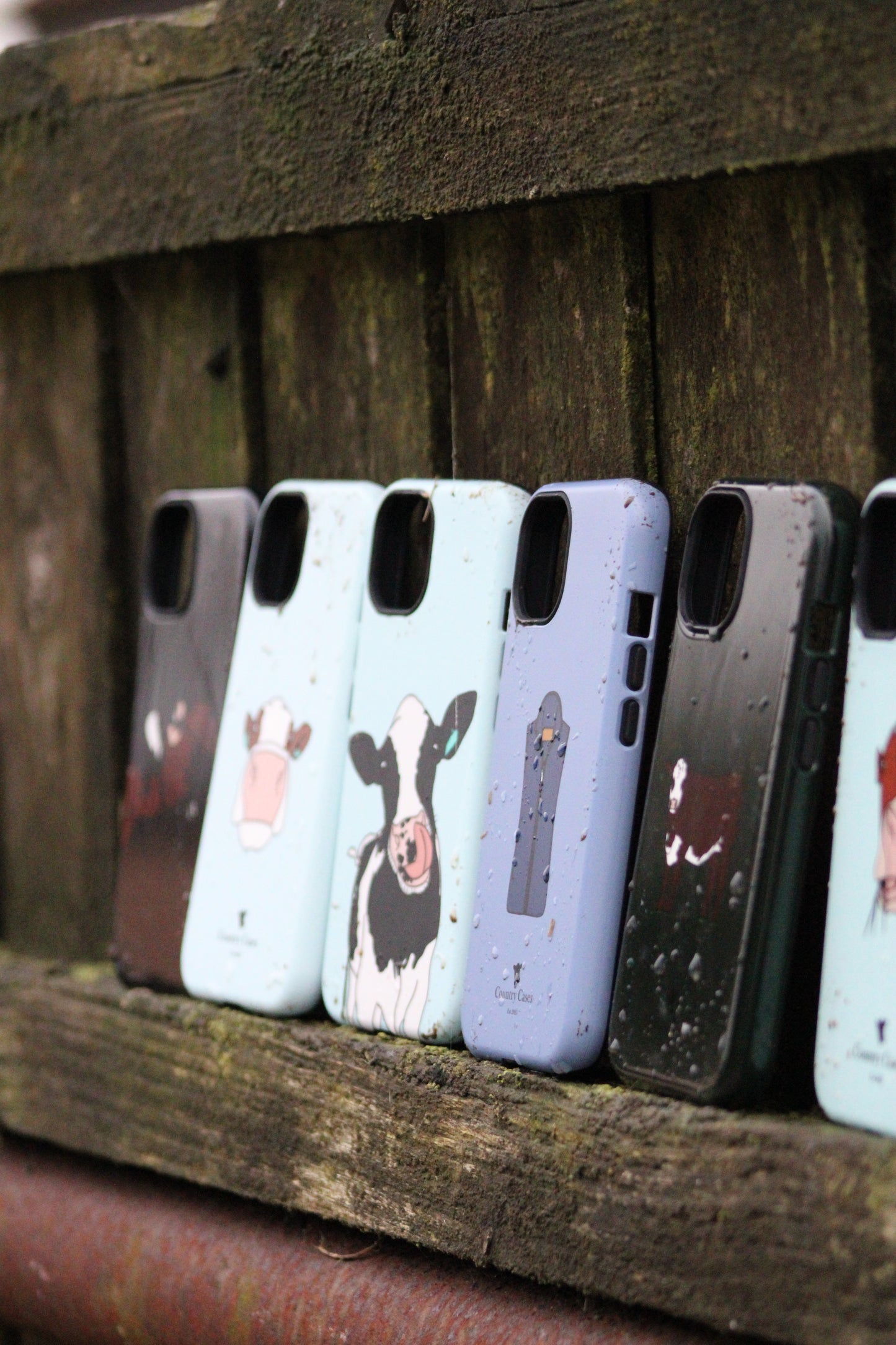Android moo cow case