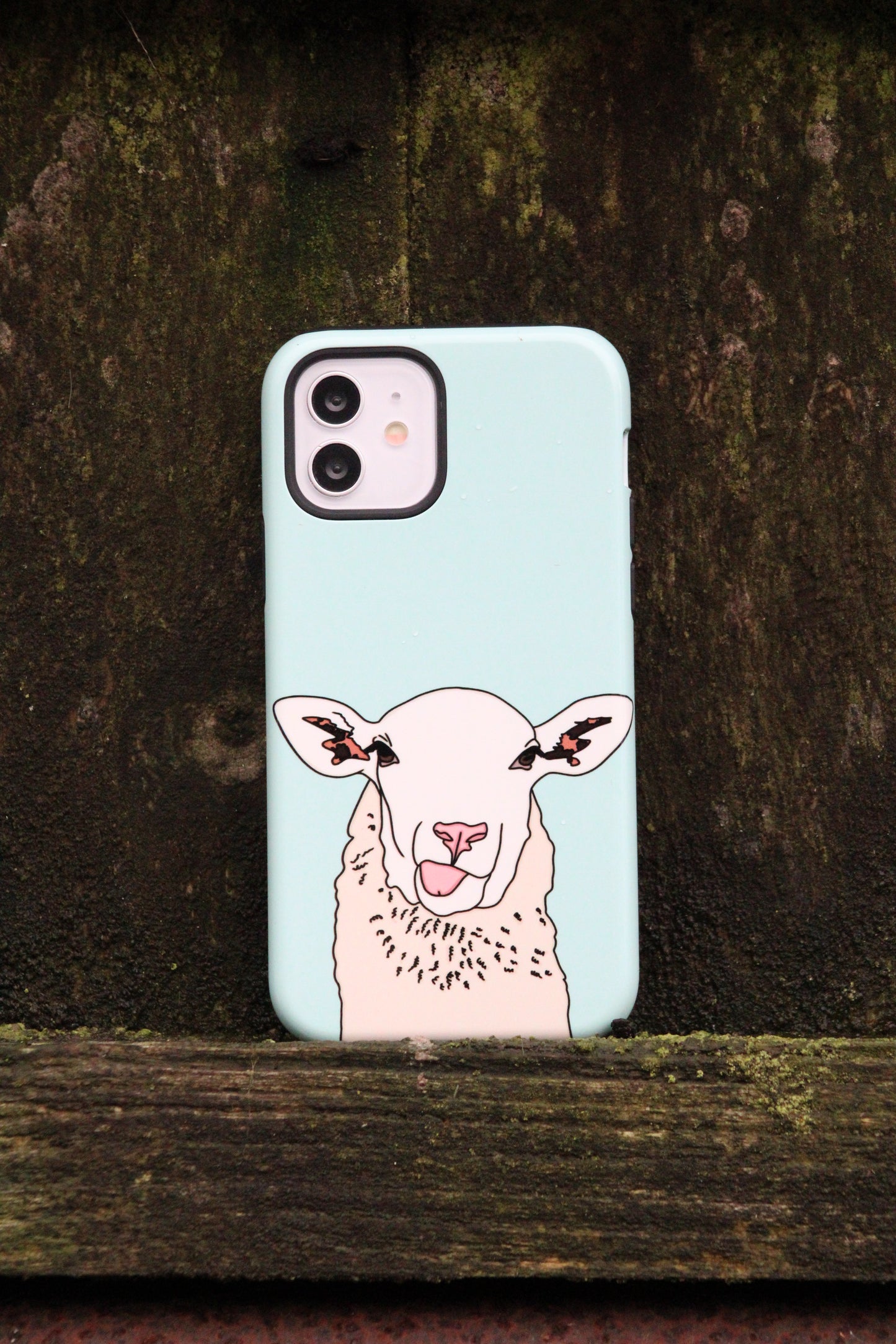 Silly sheep case